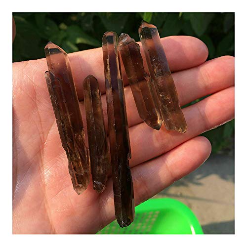 Acxico 5 pcs Natural Lemurian Smokey...