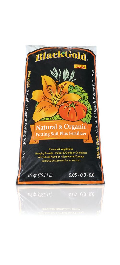 Amazon.com : Black Gold Potting Mix - Natural & Organic, Indoor Use, Bulk  Potting Soil - 16 Qt - Organic Material : Patio, Lawn & Garden
