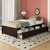 Twin Size Bed Frame with 2 Storage Drawers,Twin Kids Bed,Solid Wood Platform Bed Twin for Kids, Teens, Adults, Espresso