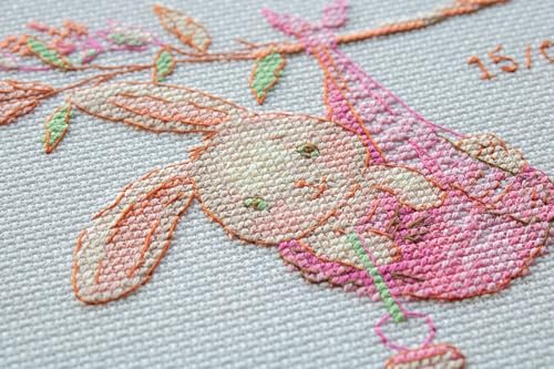 Image of Aine - Girl Birth Sampler A1029, Baby Girl Birth Record Announcement Cross Stitch Kits 7 inchx7, Cross Stitch Kits for Beginners & Advanced, Crossstitching Kit Adult, Embroidery Counted Stitching Kit