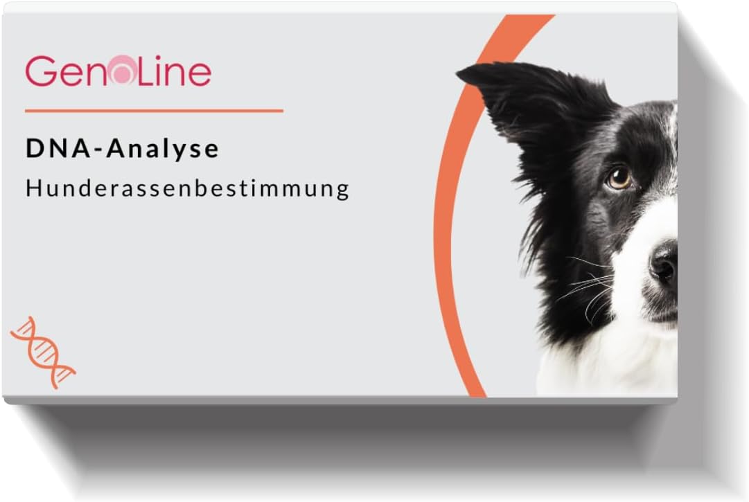 Embark HundeDNATest, RassenIdentifikationsset Amazon.de Haustier