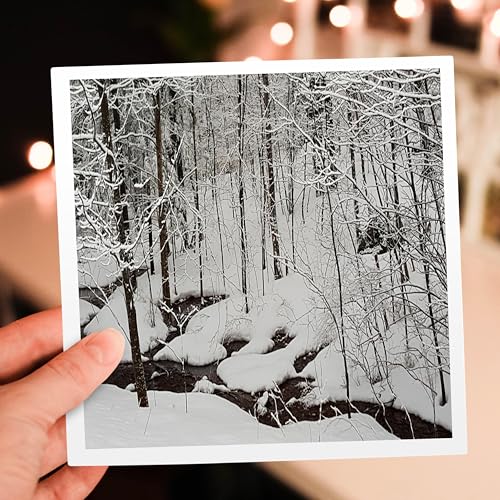 Cartes de vœux paysage hivernal 3dRose Gc_284957_2 en lot de 12 formats 15 x 15 cm