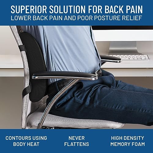 Lordosenstütze Everlasting Comfort für Lendenwirbelstütze im Büro und Auto
