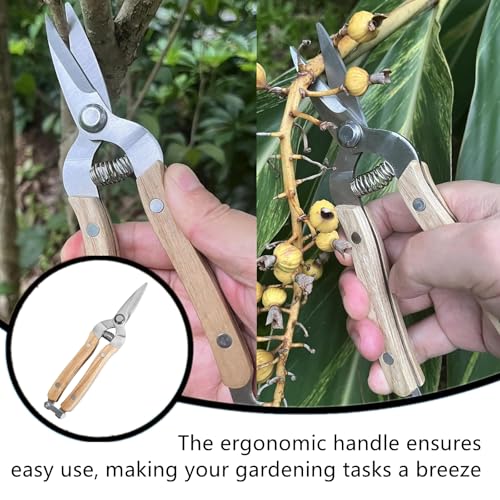 Tijeras de poda Garden Snip acero inoxidable con mango de madera miniatura 6