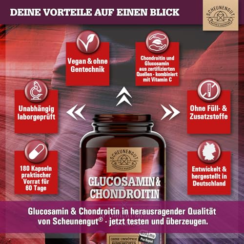 Glucosamin Chondroitin Hochdosiert -2630mg pro Tagesdosis- mit Vitamin C für eine normale Kollagenbildung* für Knochen & Knorpelfunktion -Hochdosiert- Laborgeprüft DE SCHEUNENGUT®