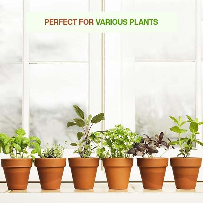 Village Decor Terracotta Plant Pot (12.7cm 1 Quantity)