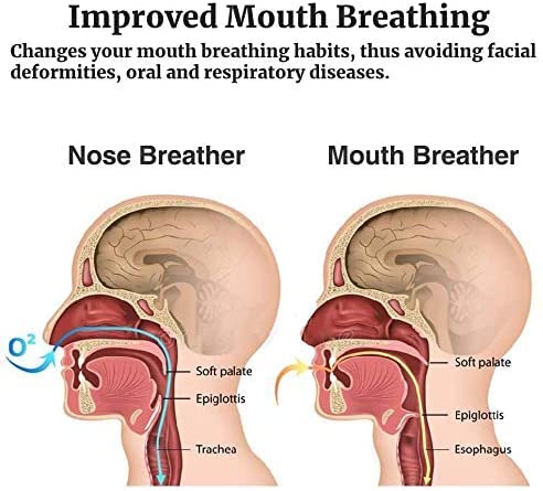 Sleep-Strips-Improve-Sleep-Quality-Better-Nose-Breathing-and-Reduce-Mouth-Breathing-and-Snoring-Adhesive-Mouth-Tape-Anti-Snoring-Tapes-for-Adult-Less-Mouth-Breath-and-Snore-90