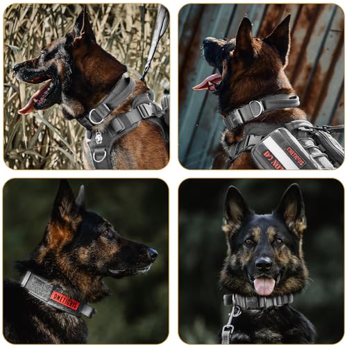 OneTigris Hunde Halsband mit Metallschnalle für Hunde Grau L