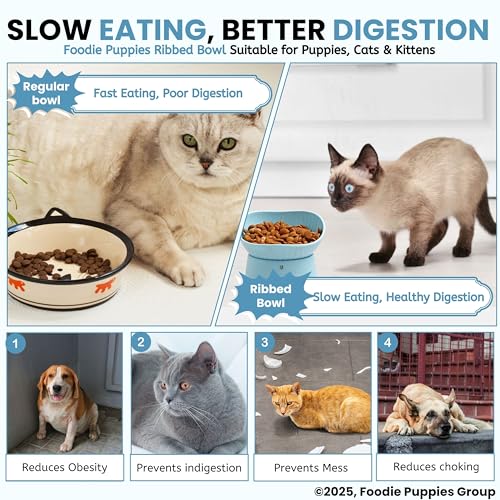 Image of Foodie Puppies Pet Elevated Raised Bowl for Cats, Kittens, and Puppies - (Ribbed Bowl, Blue) | 45 Degree Tilted | Cat Food and Water Feeding Bowl | Anti Vomiting, Stress-Free, Durable