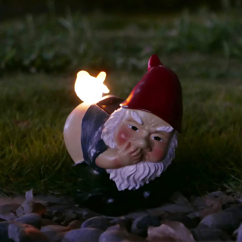 Amazon.co.jp: Juliahestia ガーデンノーム 屋外 鳥と面白い いたずら