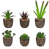 BELLE VOUS Mini Suculentas Plantas Artificiales Decorativas en Maceta Gris (Pack de 6) Planta Artificial Cactus y Suculentas - Macetas Decorativas para Uso en el Hogar, Oficina, Mesa y Baño