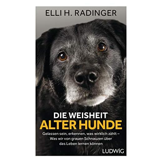 Die Weisheit alter Hunde: Gelassen sein, erkennen, was wirklich zählt – Was wir von grauen Schnauzen über das Leben lernen können