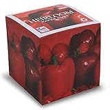 Heirloom Note Cube with white pages NOT STICKY 3.5” cube - Made in USA (paper US or CAN) - 100% Recycled 24 lb. bond - 700 tear-off pages NOT LOOSE