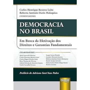 Capa do livro Democracia no Brasil - Em Busca da Efetivação dos Direitos e Garantias Fundamentais
