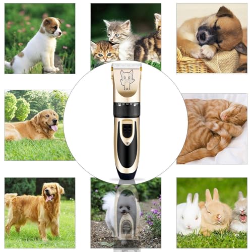 Image of Unisex pets grooming kit, Rechargeable Cordless Electric Quiet Hair Clipper Grooming Kit Set, Professional Pet Hair Trimmer Long Short Hair Shaver for Pets Cats Pets (Gold)