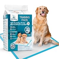 30 Alèses Pour Chiots, 60x60 Cm, Super Absorbantes : Anti