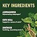 Banyan Botanicals Organic Stress Ease – Adrenal Support & Resilience Supplement – Ashwagandha & Shatavari for Fatigue & Nervous System Balance – 90 Tablets – USDA Organic