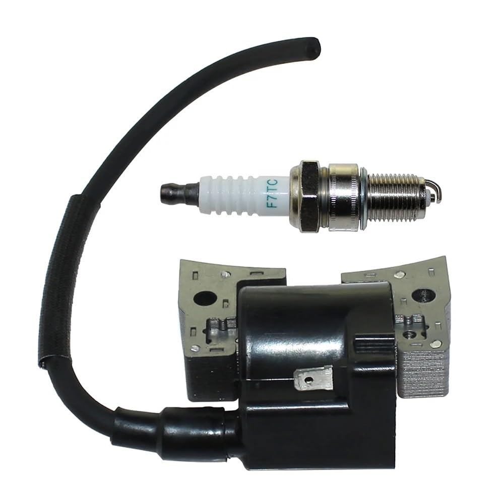 Bobine d'allumage 21171-2207 pour réparer les pannes de moteur FE290D