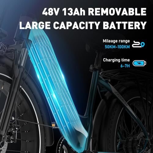 ECORUSH ECO R3 E Bike, Elektrofahrräder mit 26 * 4.0 Breite Reifen, E-Bike 48V 13Ah Lithium-Ionen-Akku, 250W Motor. E Mountainbike für Damen und Herren – Bild 5