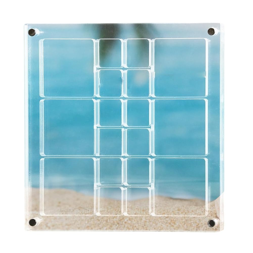 CTRLZS Magnetic Seashell Display Box, Seashell Storage Box Decorative Box for Seashell Starfish Trinket, Bead, Nail, Jewelry A