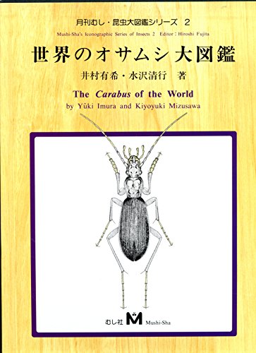 Amazon.co.jp: 井村 有希: 本、バイオグラフィー、最新アップデート