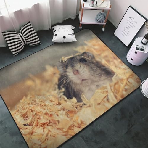 �J�[�y�b�g ���킢�� �n���X�^�[ �����` ���O�}�b�g ���O �O�~ �ėp �h�_�j �R�� �h�� �h�L �ӂ���Ǝ�G�� ������� �D�����t�����l�����O ���g�[�Ή� �􂦂� ����~�ߕt �l�C �v���[���g 100 × 150 cm BHT4H68
