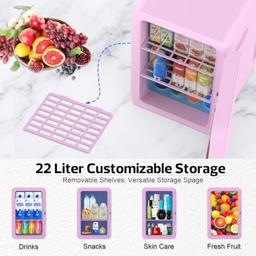 Image of advwin 22L Mini Fridge for Bedroom, 30 Cans Portable Cooler & Warmer Compact Refrigerators with AC /DC Power for Skin Care, Beverage, Cosmetics, Food, Drinks, Office Desk Dorm Room