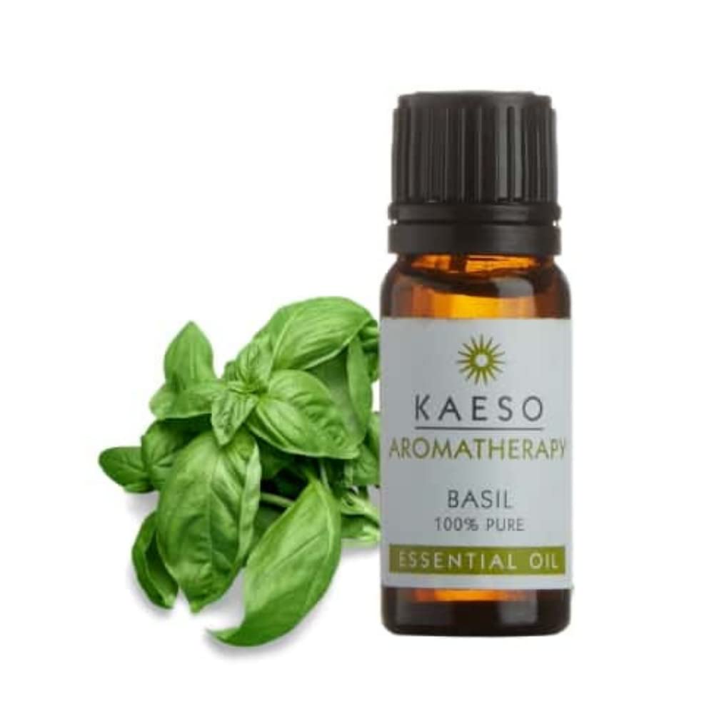 Kaeso Aromatherapy Essential Oil Basil 10ml