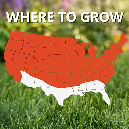 Grass Seed Blends For Cool-Season Climates