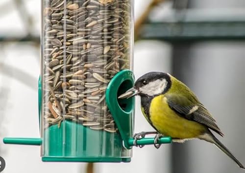 Italmix Semi di Girasole per Uccelli Selvatici, Mangime per Fringuelli, Passeri, Lucherini e Ciuffolotti, 1kg, Qualità Premium