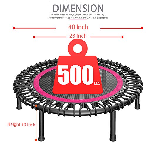 DARCHEN 450 lbs Mini Trampoline for Adults, Indoor Small Rebounder Exercise Trampoline for Workout Fitness, 450 lbs Max-Load Bungees for Quiet and Safely Cushioned Bounce, 40 Inch Gym Trampoline