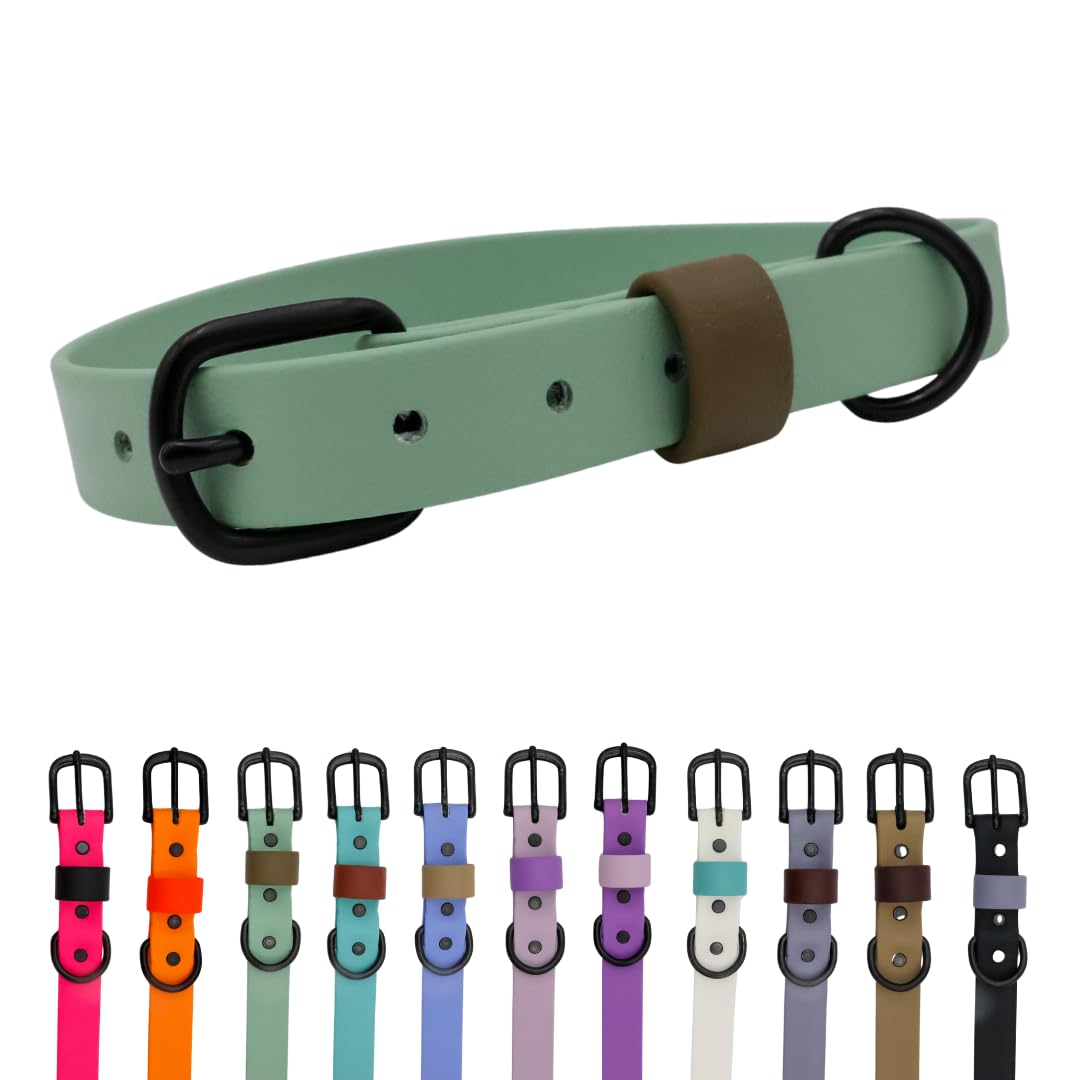 Collier pour chien imperméable fini les accessoires sales et odorants