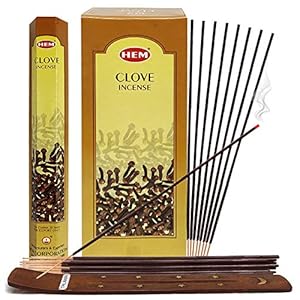 Clove Incense Sticks and Incense Stick Holder Bundle Insence Insense Hem Incense Sticks