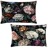 Funda Almohada 50x60 Rectangular Cojines Retro Pack 2 Funda Cojin 50x60 cm con Cremallera Invisible,Terciopelo Lavable Suave Transpirable para Sofa Jardín Outdoor Casa Decoracion Otoño Regalos LE-724