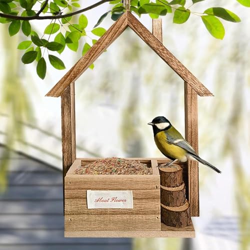 Mangiatoia per uccelli selvatici da appendere all'aperto, grande capacità, durevole e a prova di scoiattolo, per cardinali, per gli amanti degli uccelli, ideale per giardino, patio, cortile