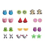12 Pairs Dainty Stud Earring Set Mixed Color Resin Animals Fruit Cute Earrings Packs