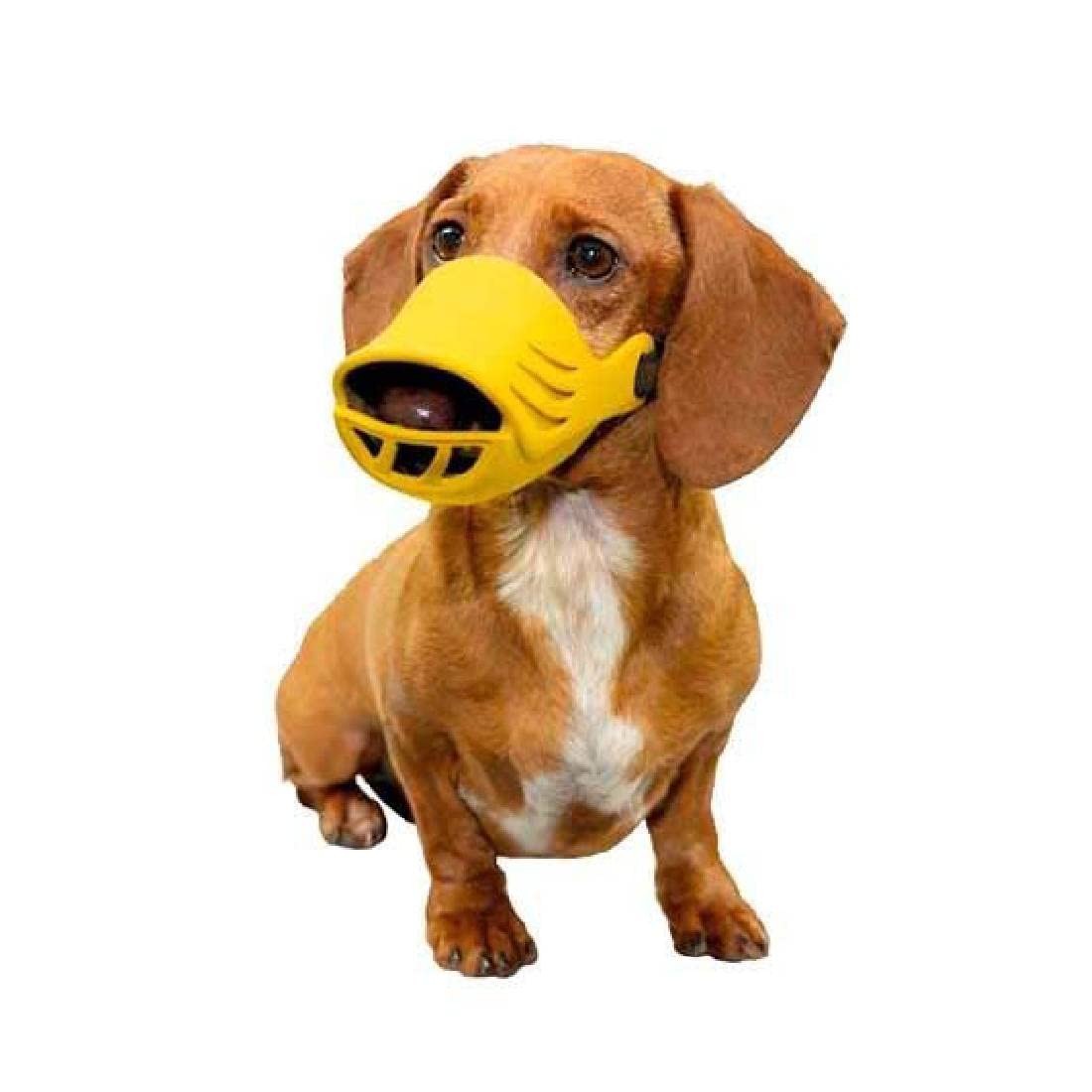 Artero Non-Toxic Silicon Dog Muzzle The Bright Yellow Design Looks Fresh and Appealing Adjustable and Easy to Clean Leaves No Marks Or Scratches - Small (B09T5Y4DBN) Amazon Price History, Amazon Price Tracker