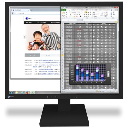 EIZO FlexScan S1934-TBK