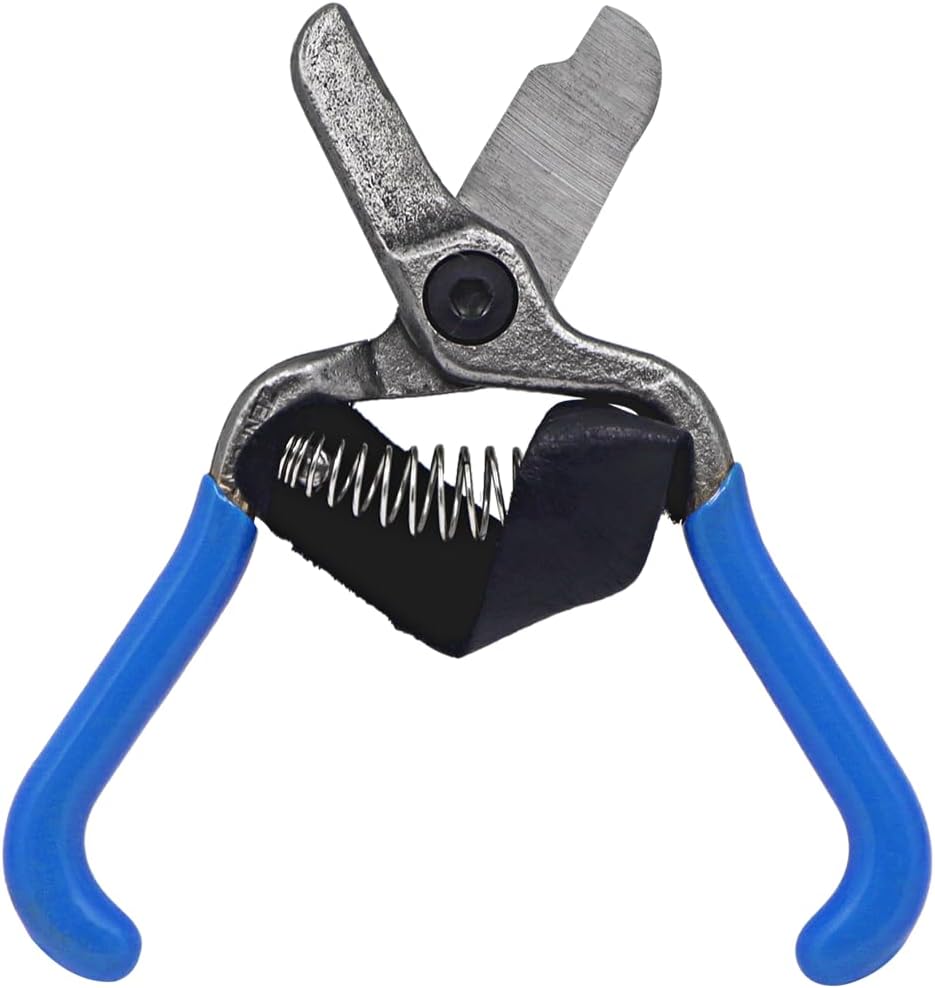 Zenport H322 Fruit Shears with Strap, Lemon Citrus Clipper, 5.5-Inch, Blue - 120 Pack
