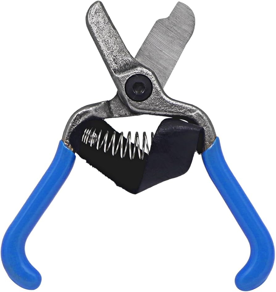 Amazon.com : Zenport 5.5-inch Forged Lemon Shear w/PVC Grips