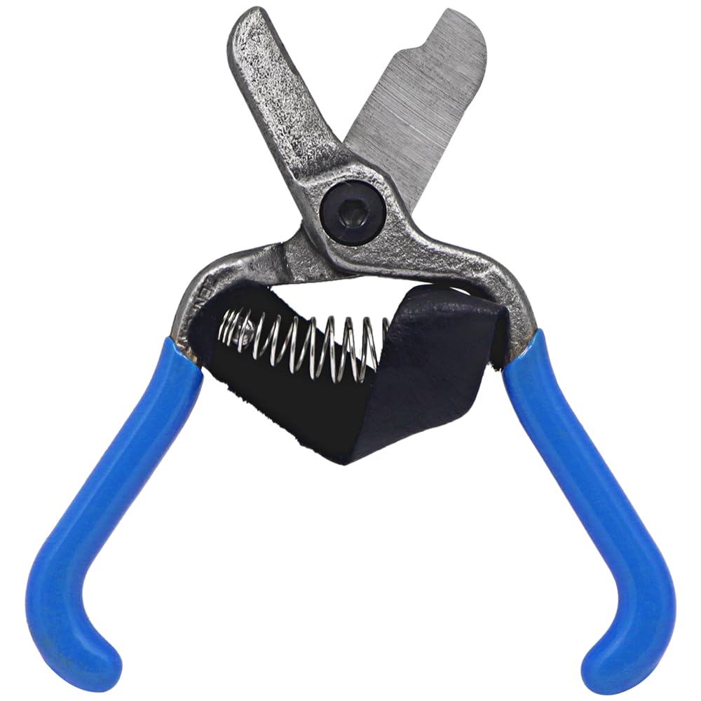 シャリカッター Amazon.com : Zenport H322 Fruit Shears/Lemon Citrus Clippers with