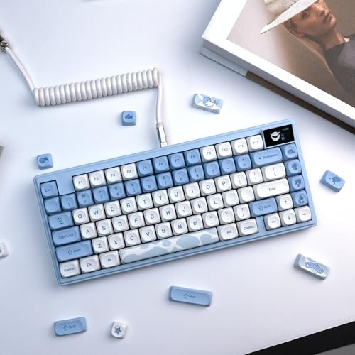 OHY Cute Blue Keycaps, XVX 145 Keys Dolphin Theme PBT Dye-Sublimation Custom Keyboard Keycaps Set,75 Percent Keycaps for Cherry Gateron MX Switches/Mac Windows PC Keyboard