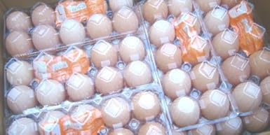 Amazon 鶏卵 Lサイズ 1箱 パック入 1パック10玉入 鶏卵 鶏卵 通販