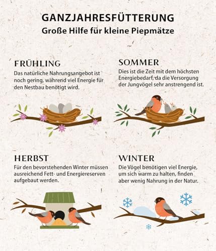 Dehner Natura Premium Meisenknödelring gefüllt, inkl. 10 Meisenknödel ohne Netz, ganzjähriges Wildvogelfutter fettreich / energiereich, hochwertiges Vogelfutter für Wildvögel, Metall, ca. Ø 24.5 cm