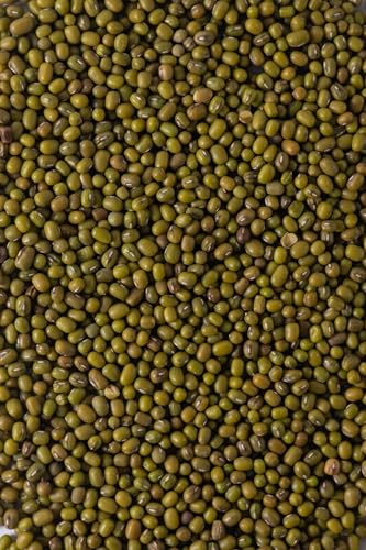 Biojoy BIO-Mungbohnen ganz (1,5 kg), Mungobohnen ohne Zusätze (Vigna radiata)
