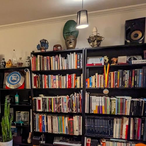 The Book Cover cover art