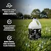 CHAUVET DJ BJG Bubble Juice Gallon | Professional Bubble Fluid for High-Flying Bubble Output | Non-Toxic and Non-Staining Formula | Designed for Use with CHAUVET DJ Machines