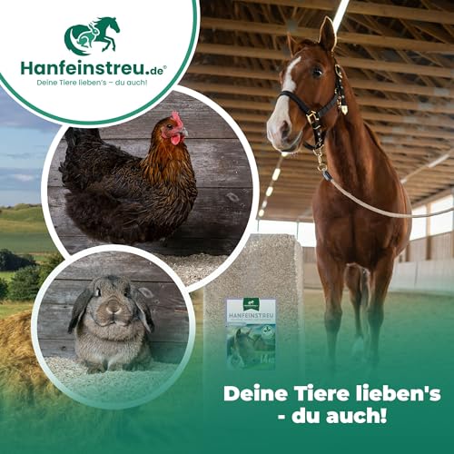 Hanfeinstreu mit Lavendel für Kleintiere, Hühner und Pferde, 30 Liter, 100% Naturprodukt, Extrem Saugfähig, Staubarm, Geruchsbindend, Nachhaltig und Langlebig