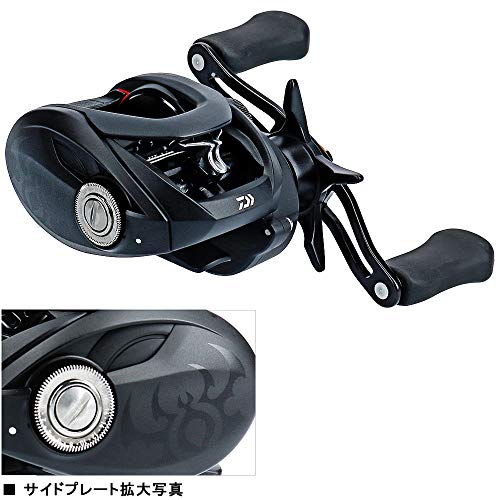 ダイワ(DAIWA) ベイトリール 19 タトゥーラ TW 100HL(2019モデル) 2枚目