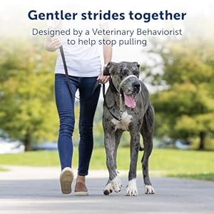 PetSafe Gentle Leader No-Pull Dog Headcollar – The Ultimate Solution to Pulling – Redirects Your Dog’s Pulling For Easier Walks – Helps You Regain Control – Medium , Deep Purple